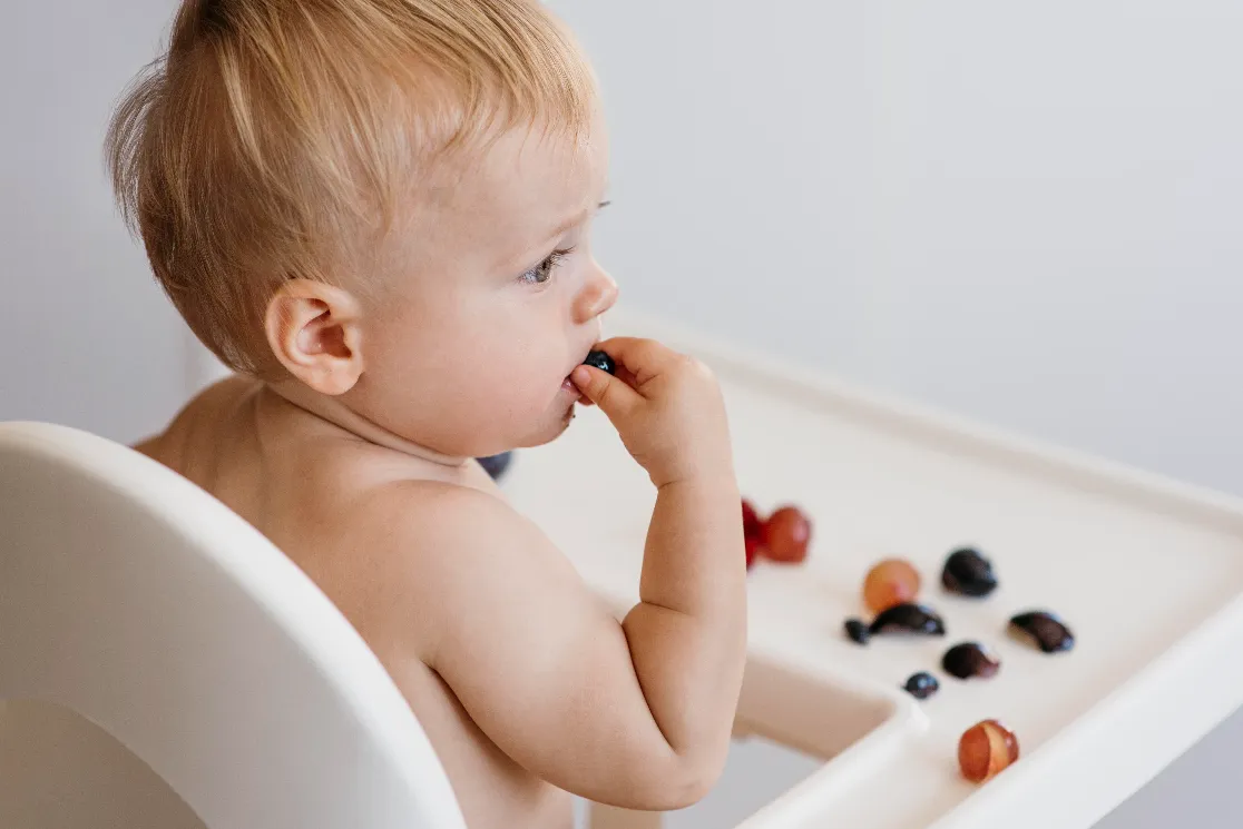 <a href="https://kr.freepik.com/free-photo/side-view-cute-baby-highchair-choosing-what-fruit-eat_10952469.htm#fromView=search&amp;page=1&amp;position=9&amp;uuid=417e9285-b7aa-45af-92c6-06a57b75742f">출처 freepik</a>