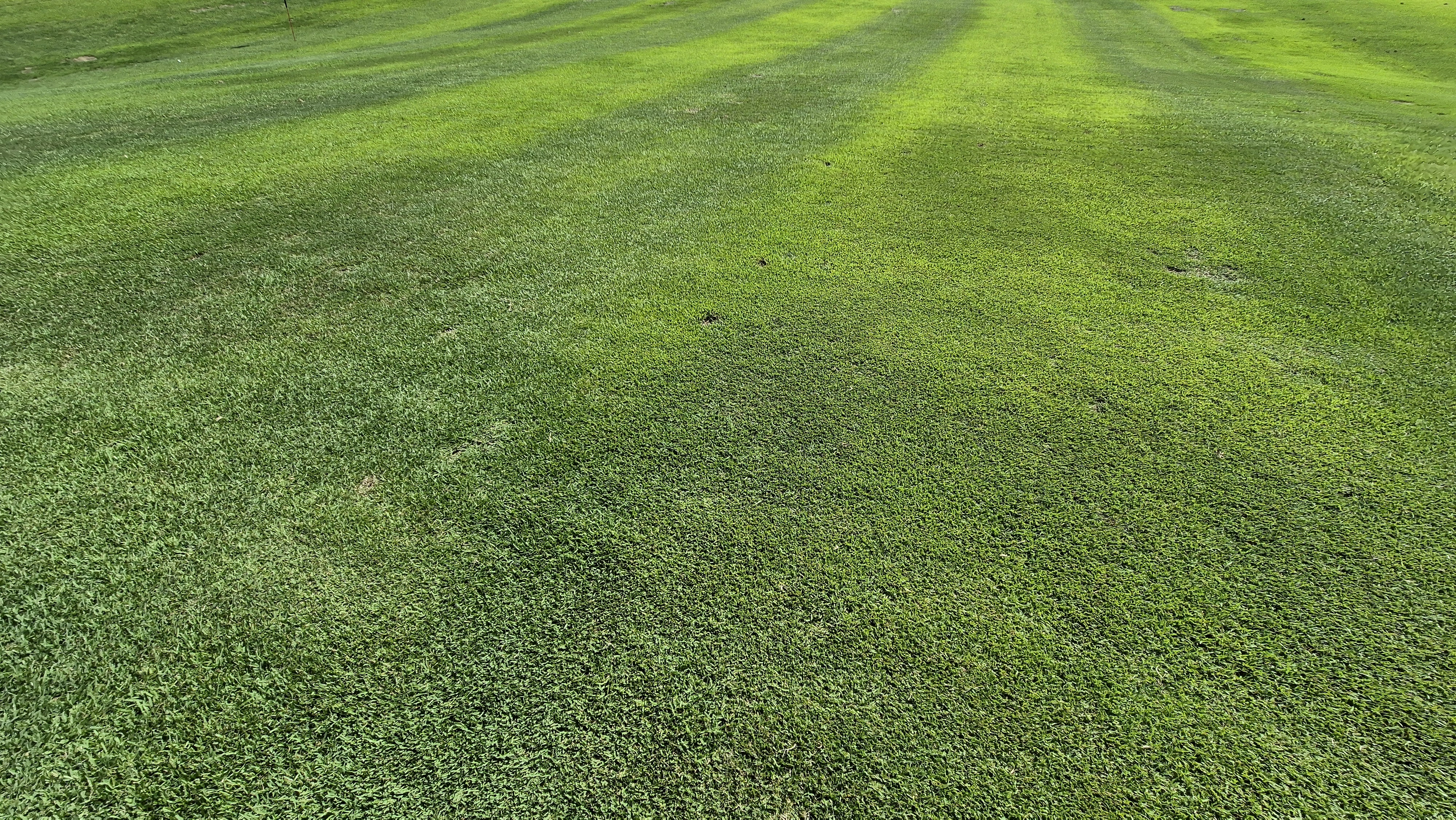 힐데스하임cc 밸리-레이크 코스 라운드 후기