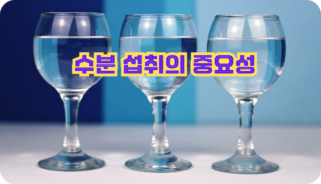 수분 섭취의 중요성