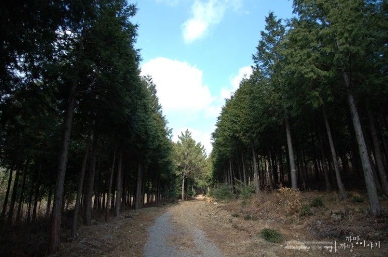 2025 대한민국 숙박 세일 페스타, 남해여행 관련 사진