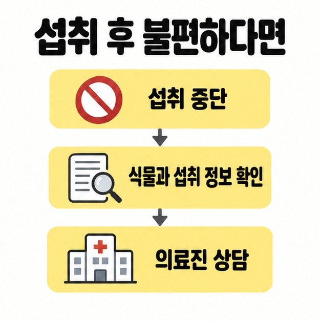열매 섭취를 멈추고 식물과 섭취 정보를 확인한 뒤 의료진에게 상담하는 대처 흐름도