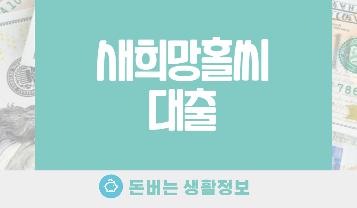 새희망홀씨 대출