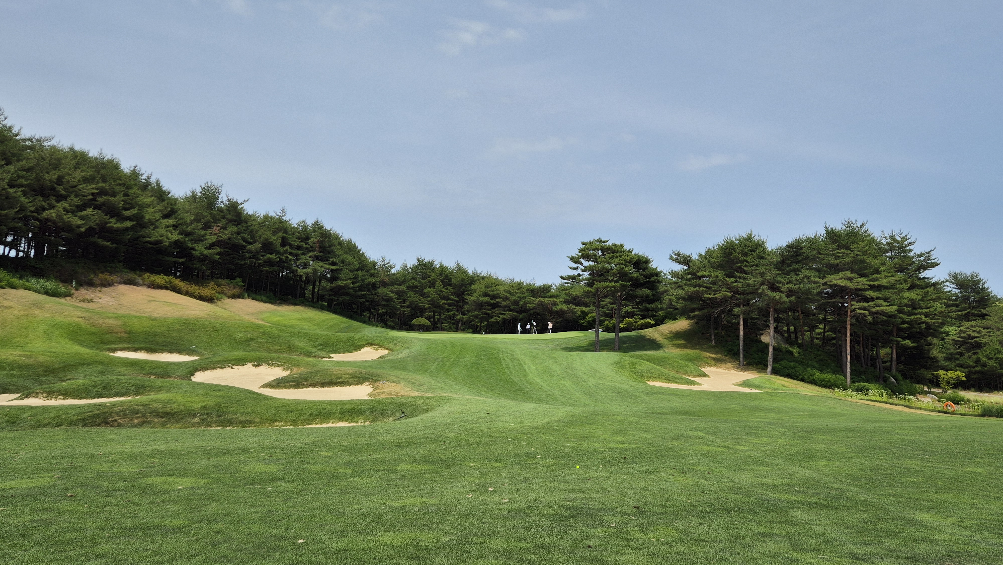 파인리즈cc 후기 및 코스사진