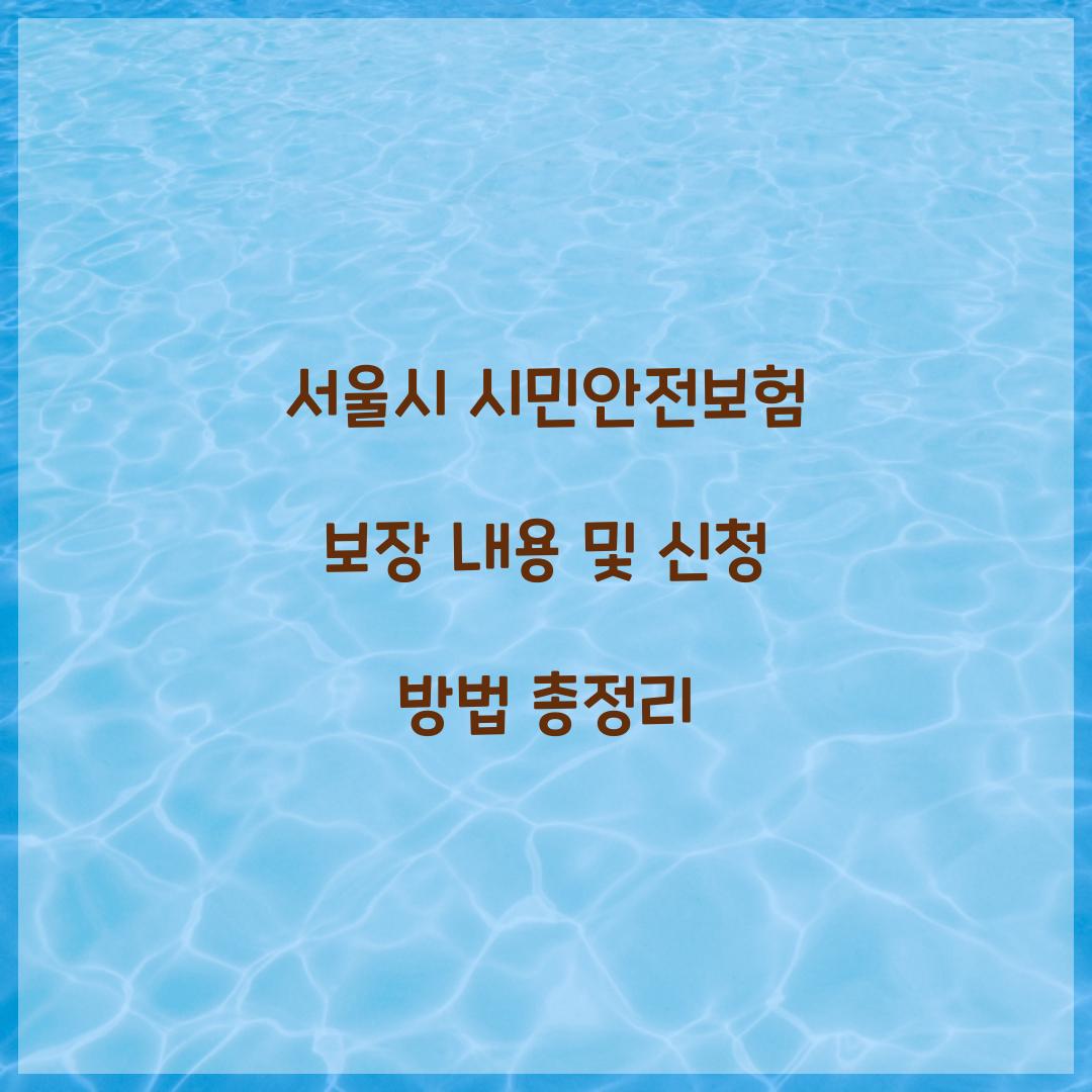 서울시 시민안전보험