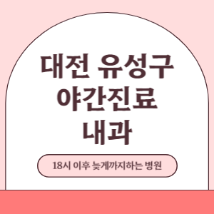 대전 유성구 야간진료 늦게까지 하는 내과 병원 (18시 이후 늦게까지하는 병원)