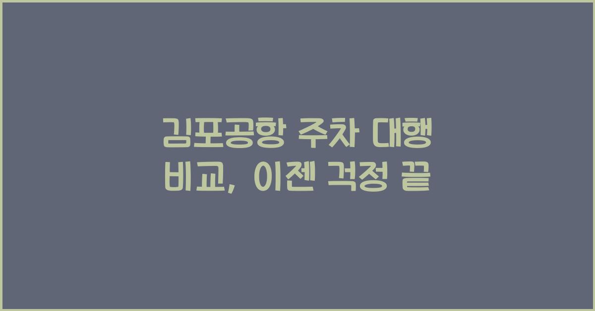 김포공항 주차 대행 비교