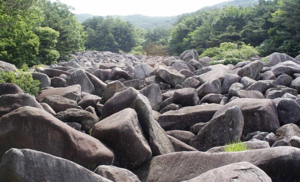 비슬산 등산코스