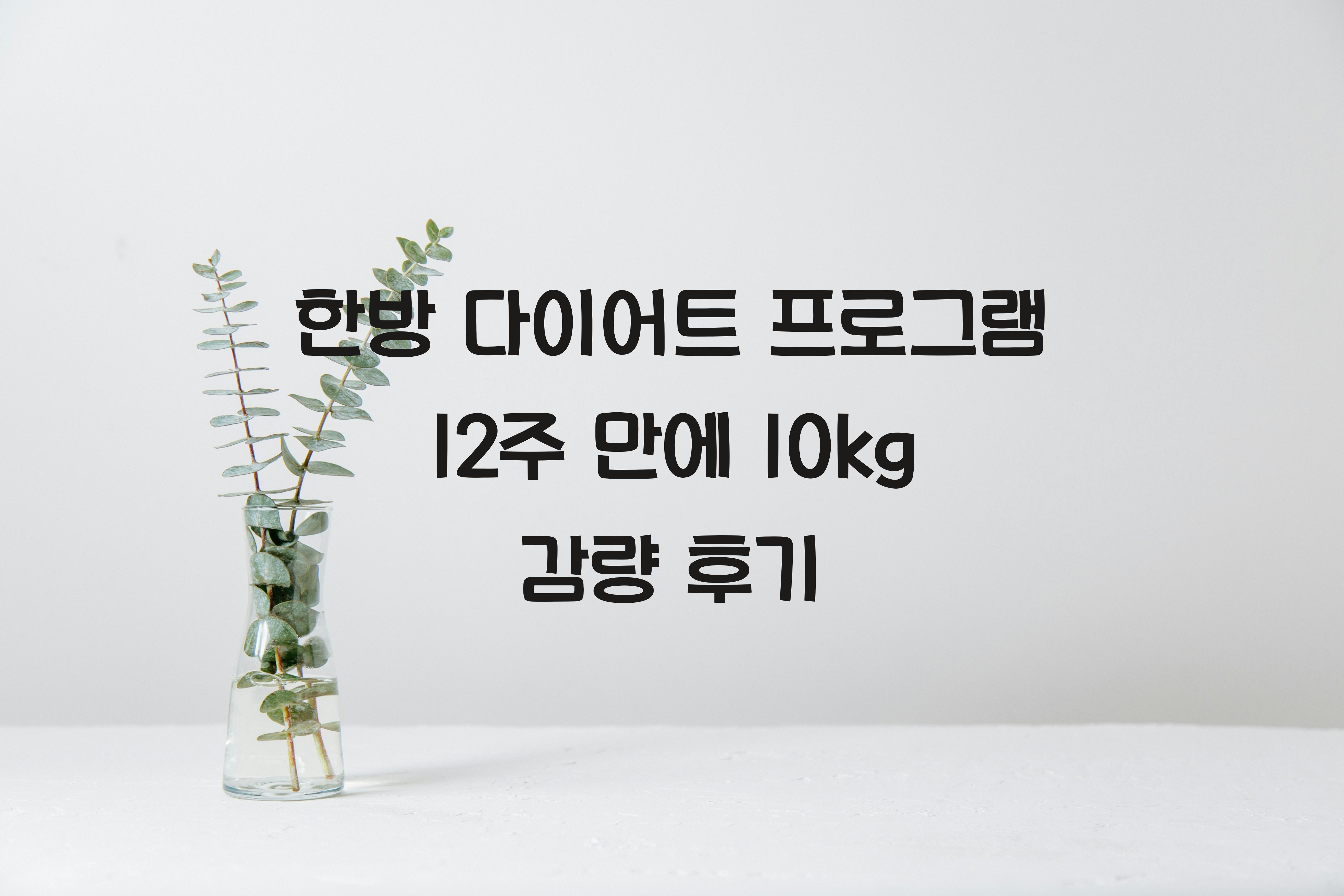 한방 다이어트 프로그램