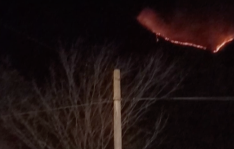 강원도 양양 산불