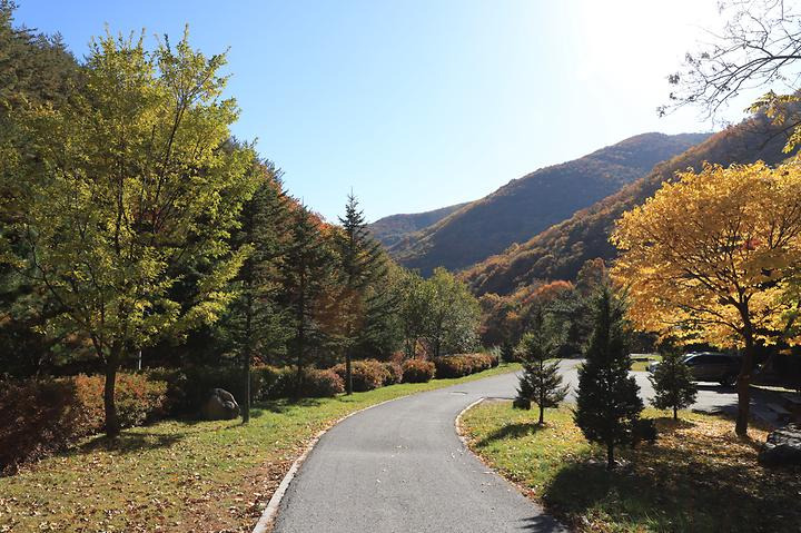 정선 도사곡휴양림