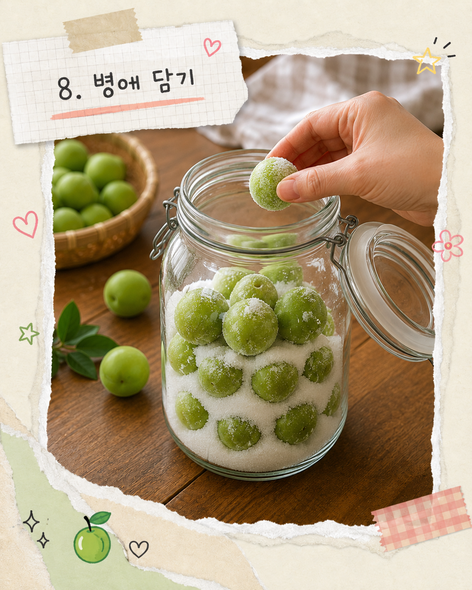 매실장아찌 담그는법