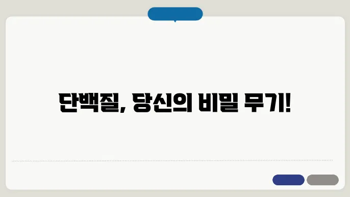 단백질균형 섭취