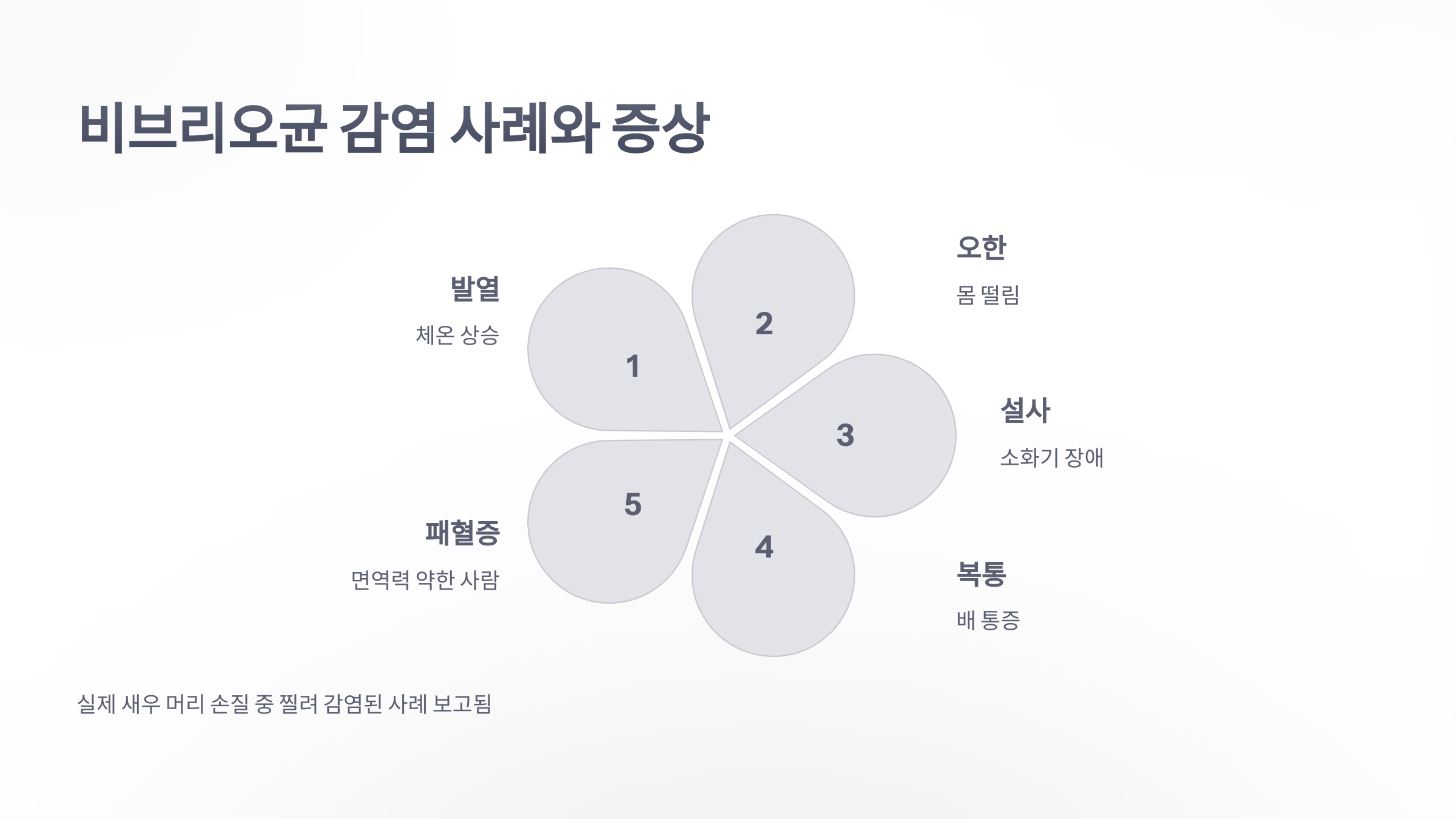 참조-식중독,-새우-머리-3