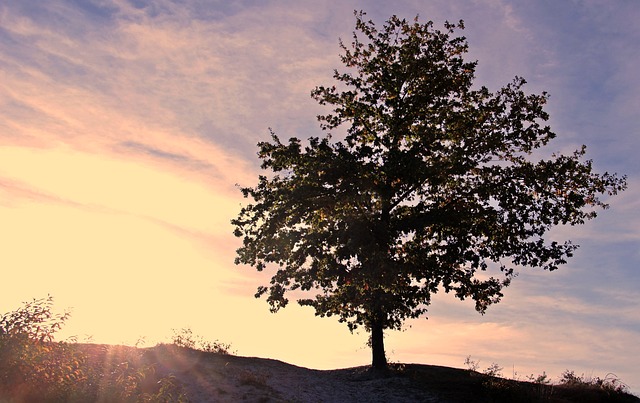 기후행동 기회소득 신청