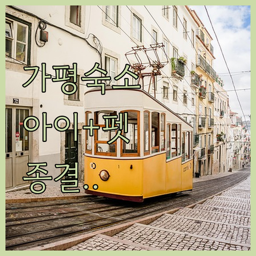 아이와 가기 좋은 가평 호텔 추천 및..