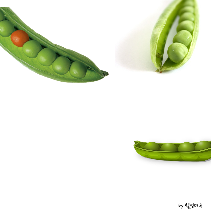 콜레스테롤 낮추는 음식