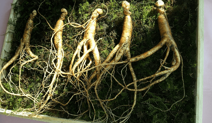 만성 피로에 좋은 음식 사진 - 3