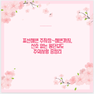 표선해변 주차장~해변까지, 신호 없는 횡단보도 주의사항 총정리