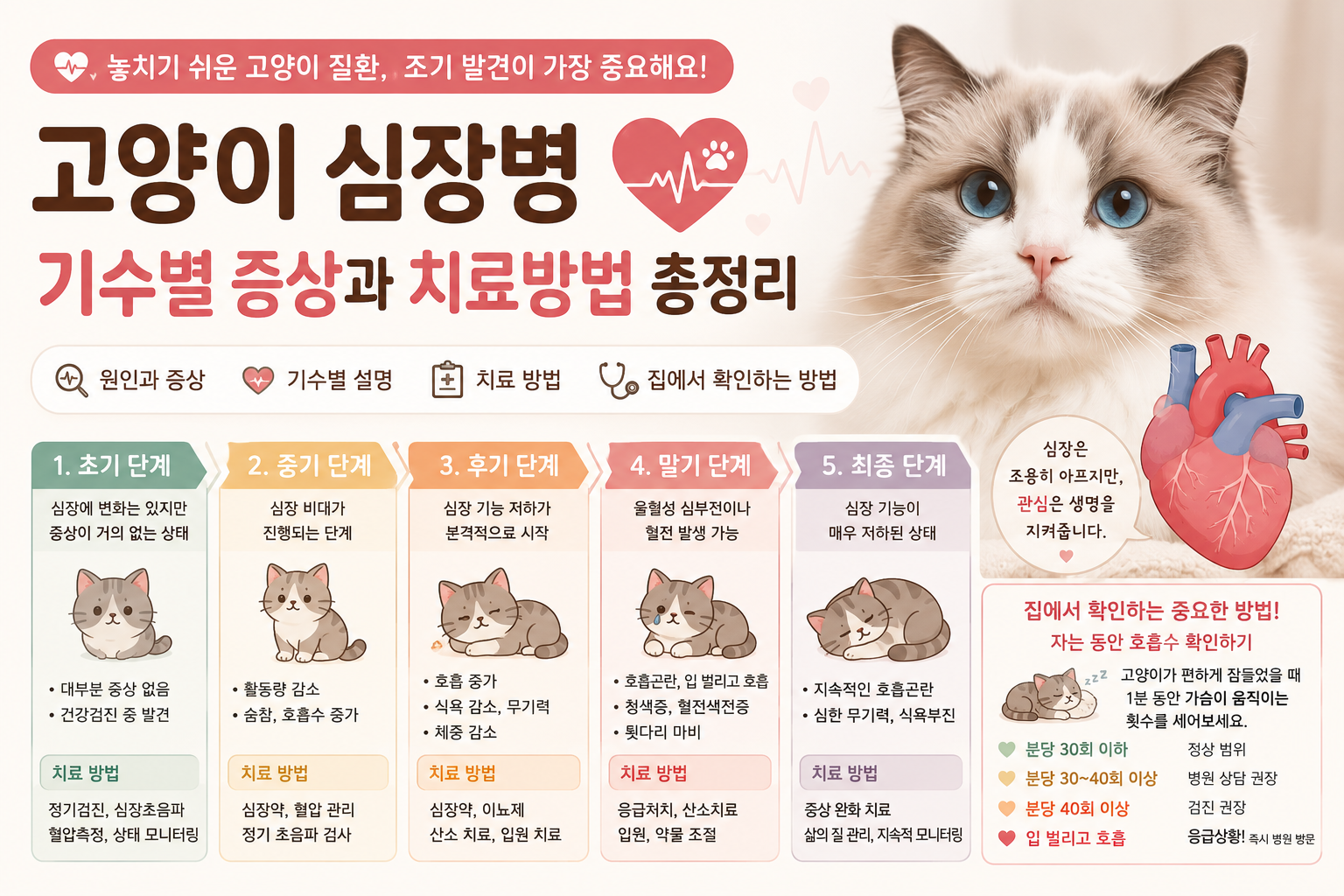 고양이 심장병