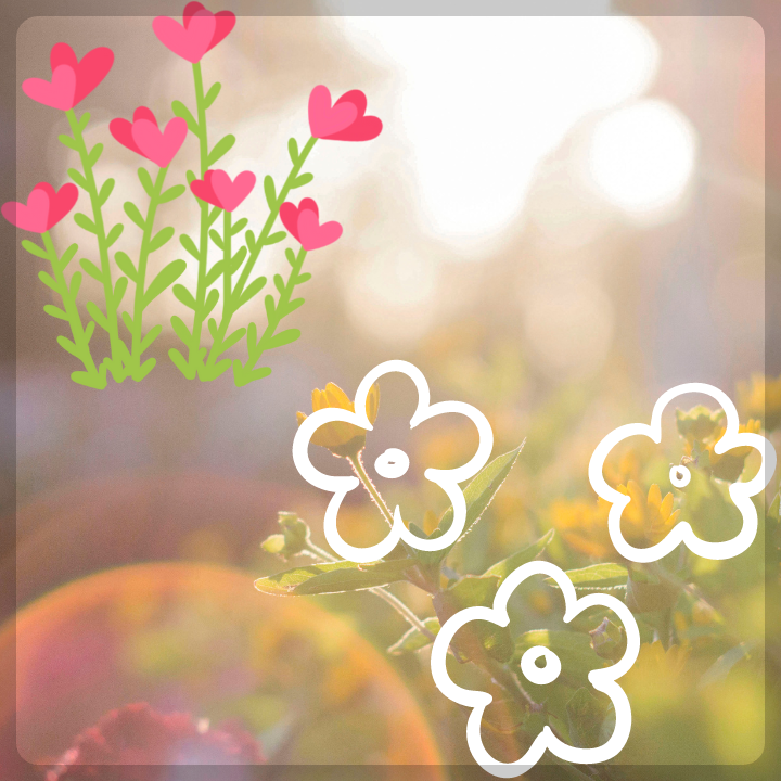 카멜리아힐-입장료