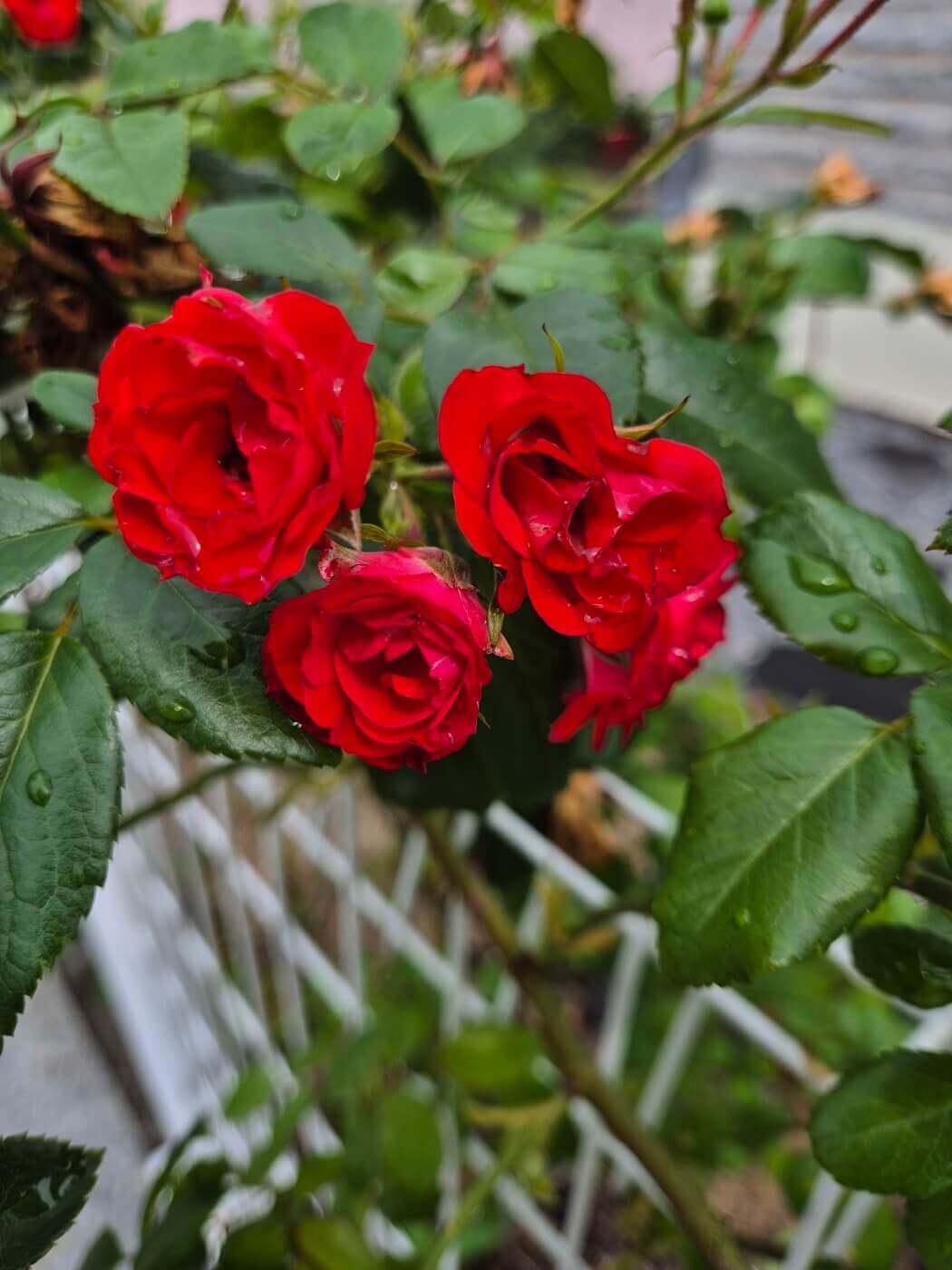 사랑 명언 모음 좋은 인연