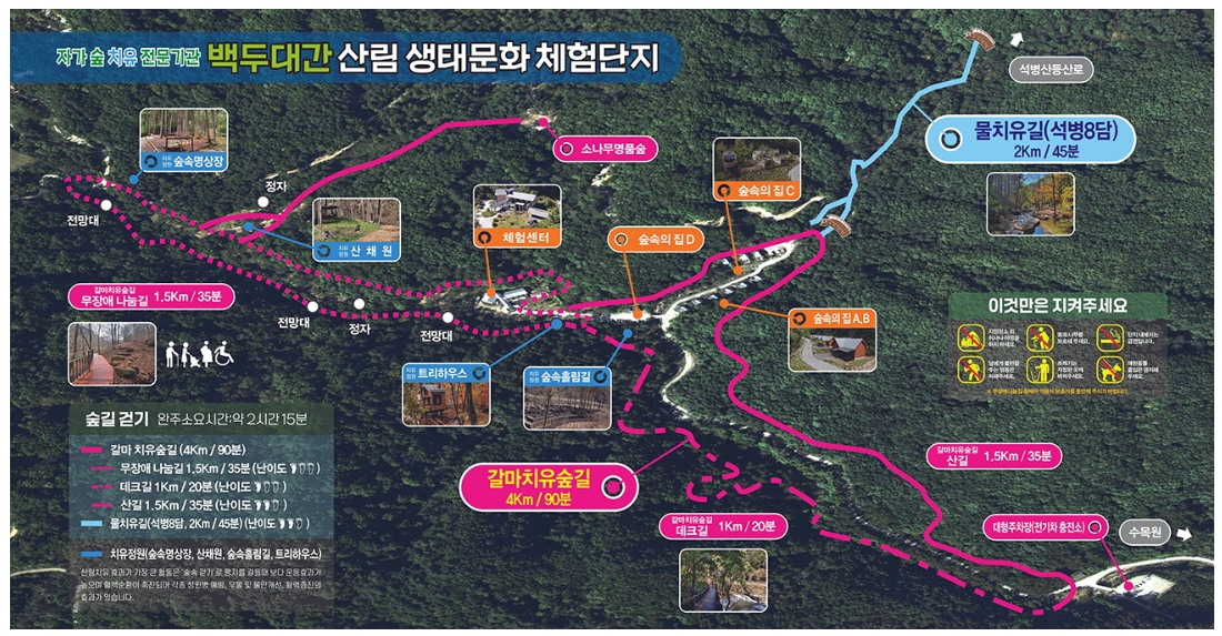 [강원도 정선 백두대간 생태수목원] 여름 프로그램·숙소 예약·요금·환불 규정 총정리!