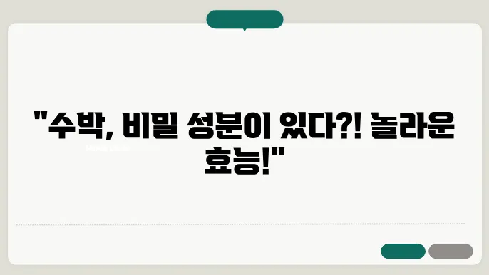 수박 성분