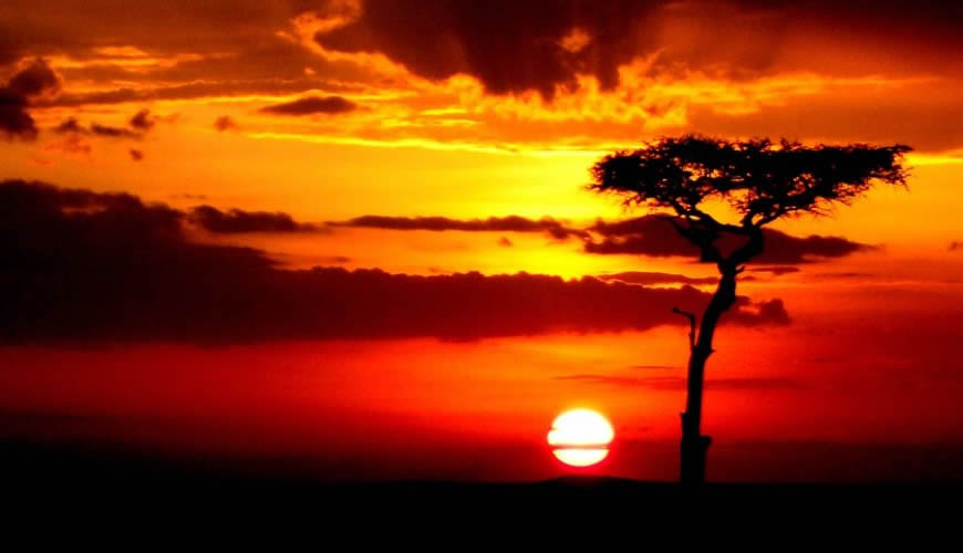 세계에서 일몰이 가장 아름다운 곳 - 마사이 마라
