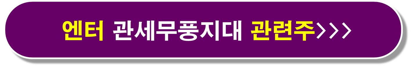 희토류 관세 관련주6