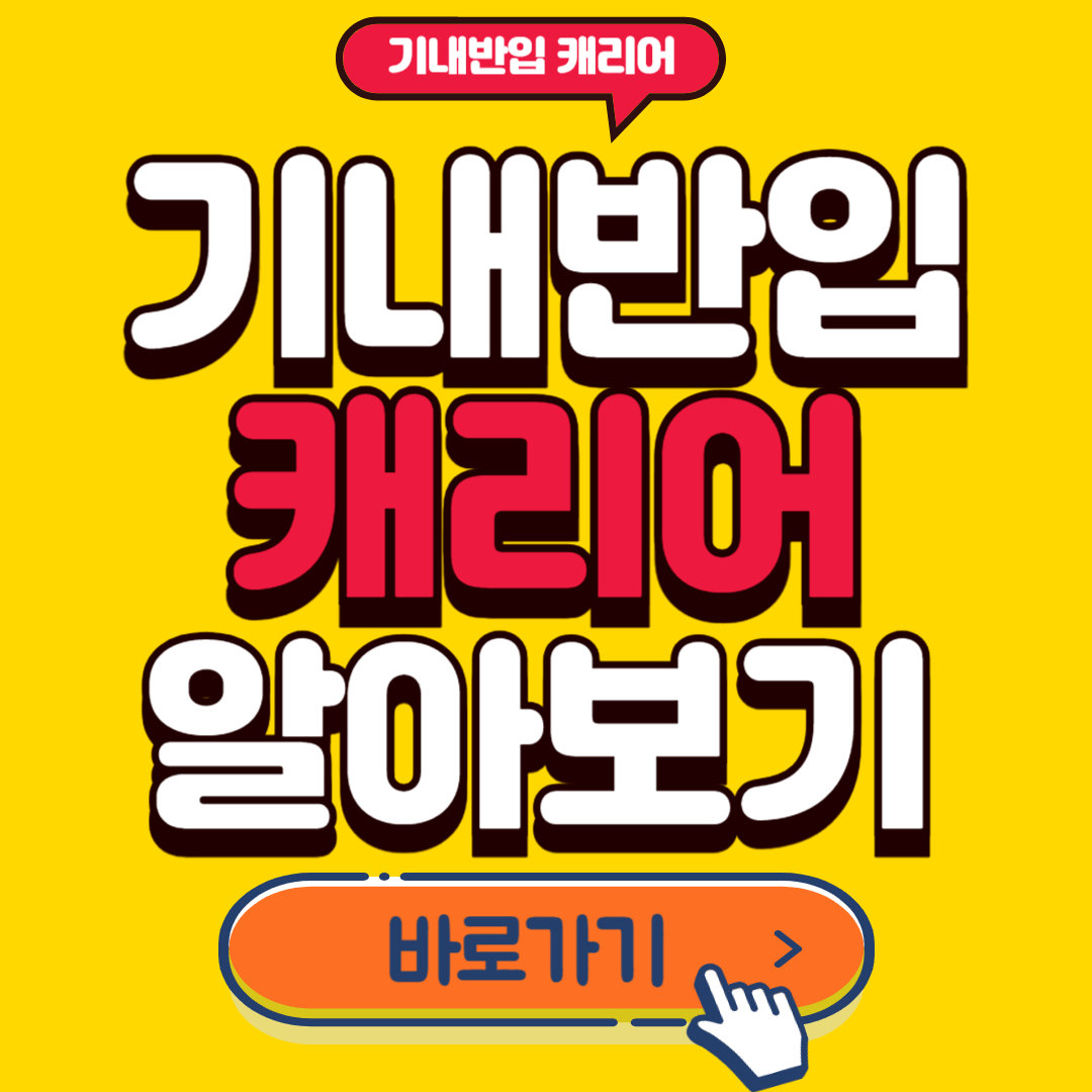 기내반입 캐리어