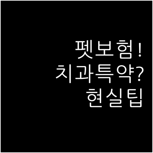 펫보험 치과 특약 확인 사항과 현실적..
