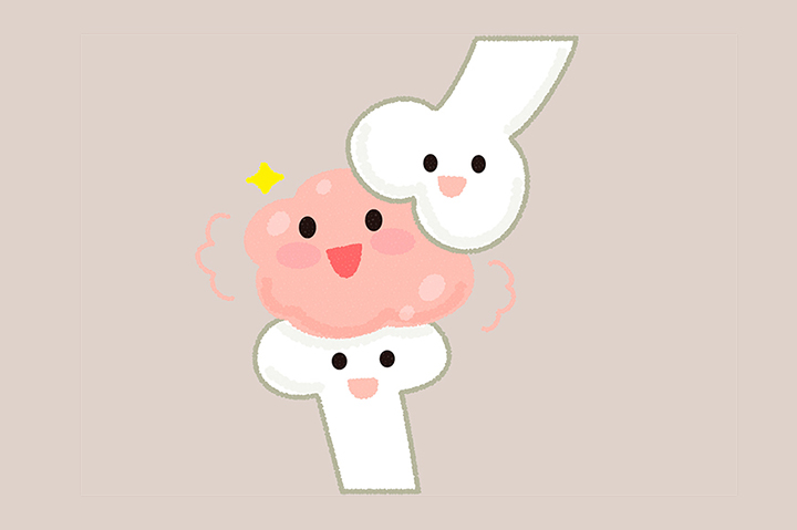 재생되는-연골의-모습