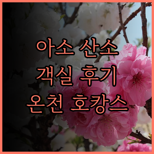 아소 하쿤 산소.. 깨끗한 객실과 온