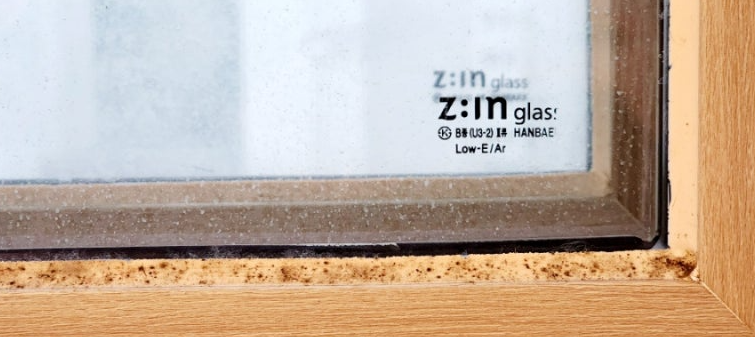 창문 실리콘 곰팡이 제거2