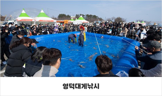 제27회 영덕대게축제(삼사해상공원)