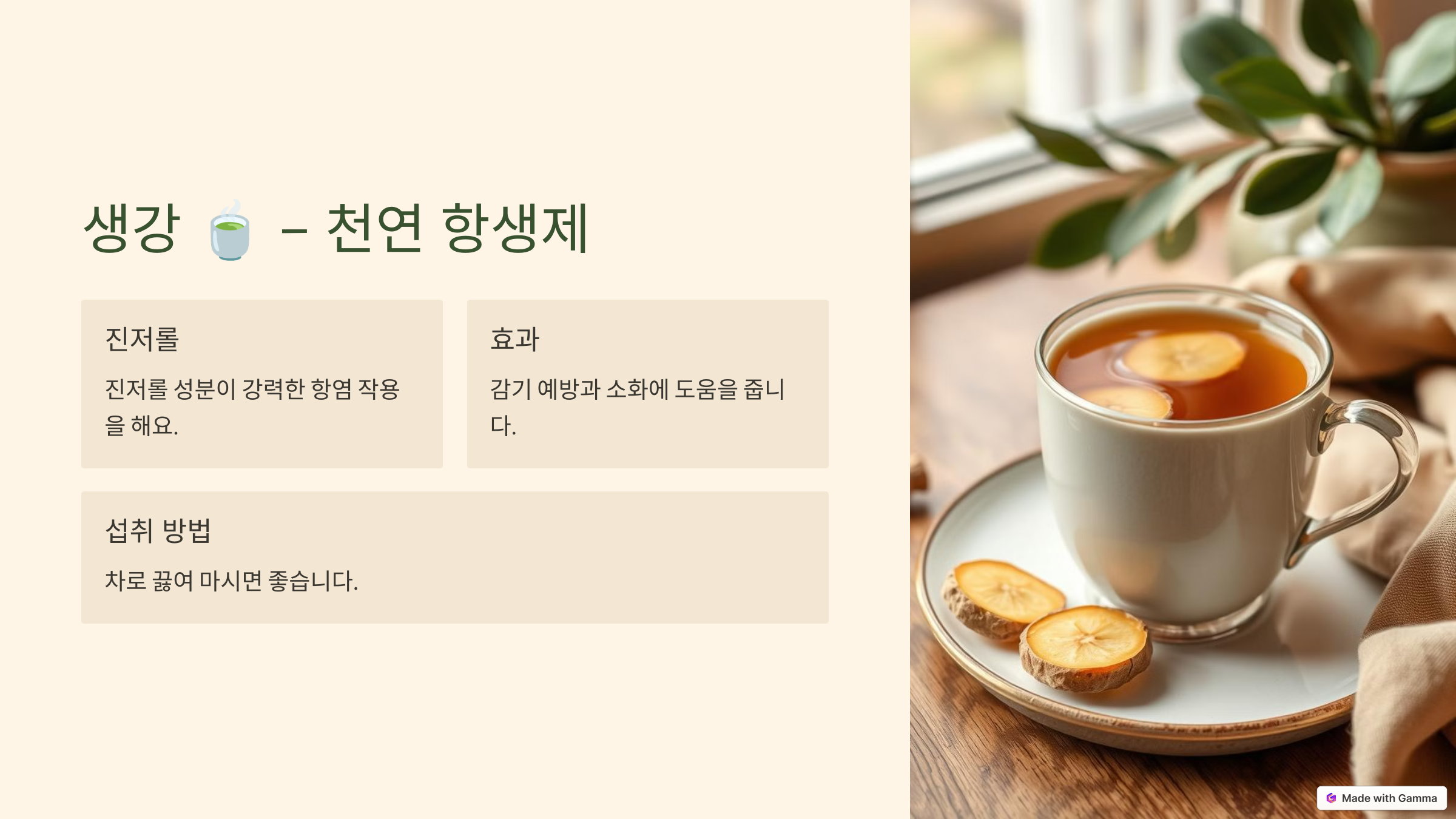 면역력 높이는 음식 BEST 10