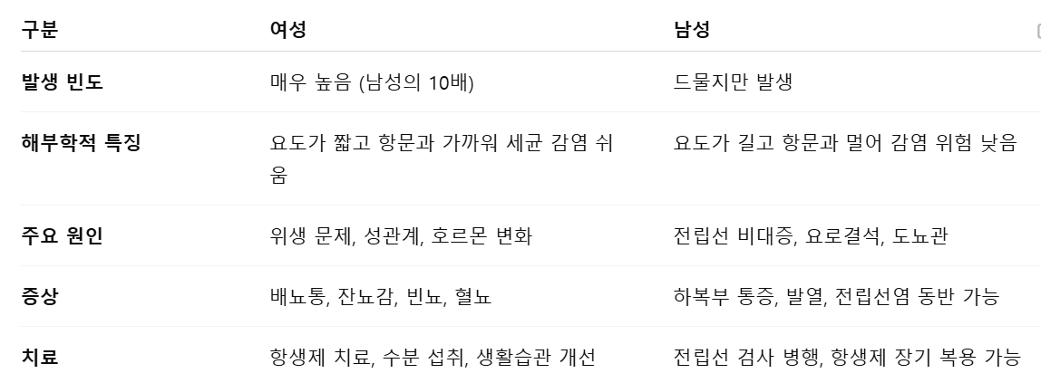 남성과-여성-방광염-비교