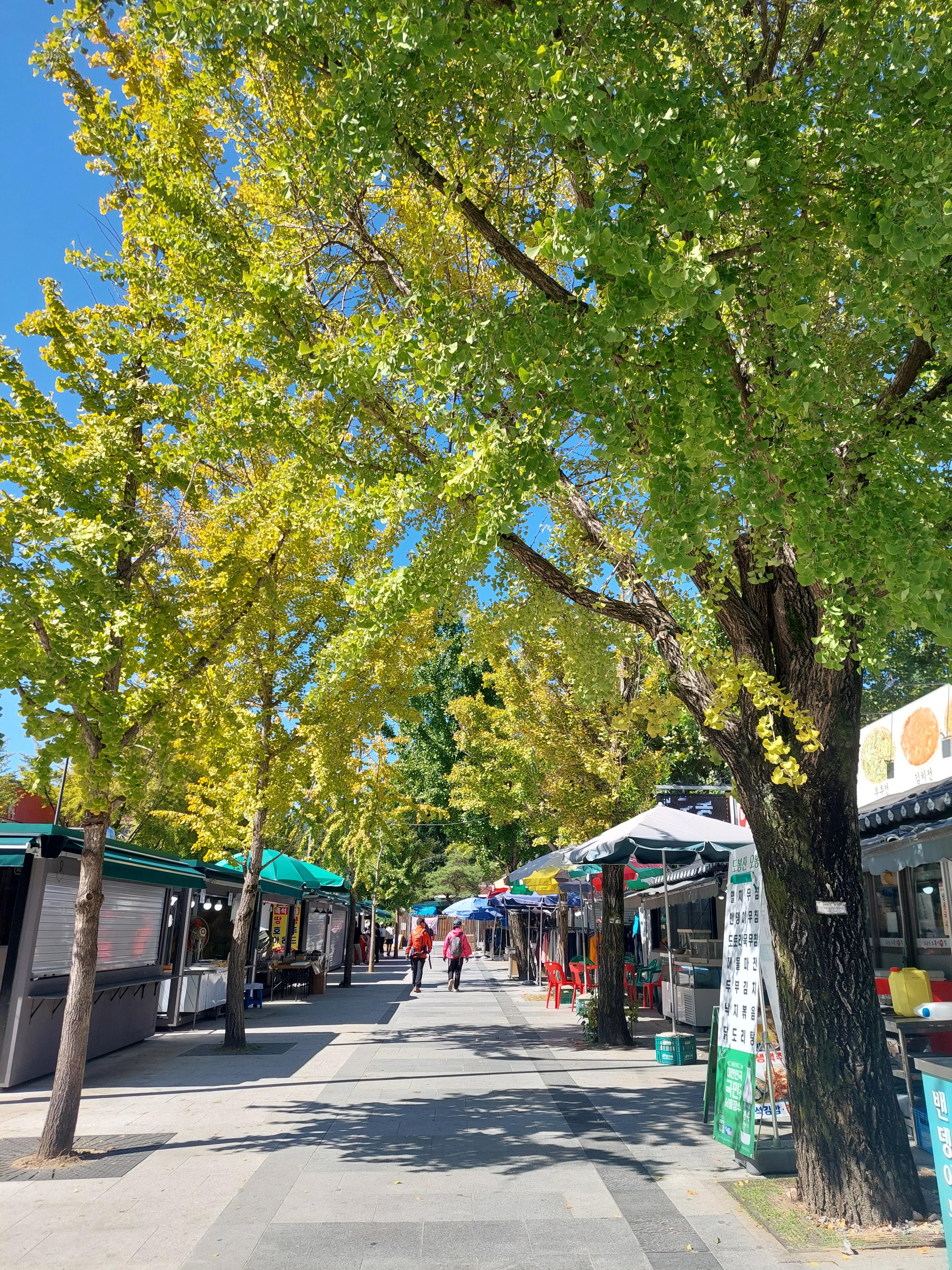 도봉산