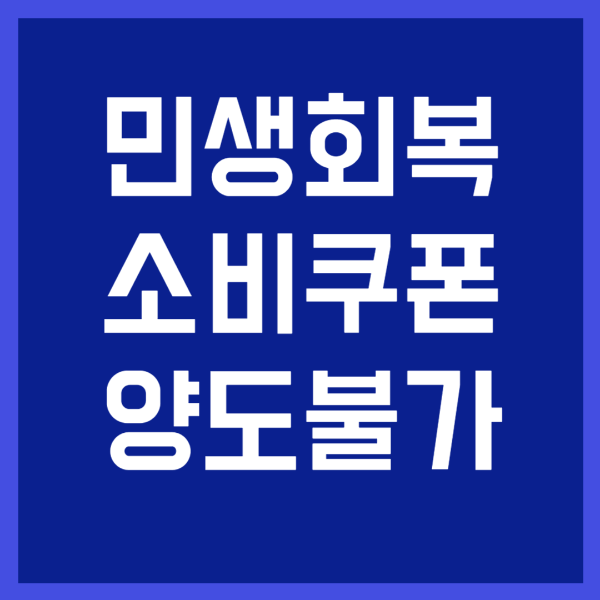 민생회복 소비쿠폰 양도 정부 지원금 사진 1