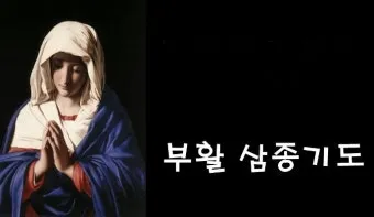 천주교 예수님 부활을 기념하는 기쁨의 부활 삼종기도_26