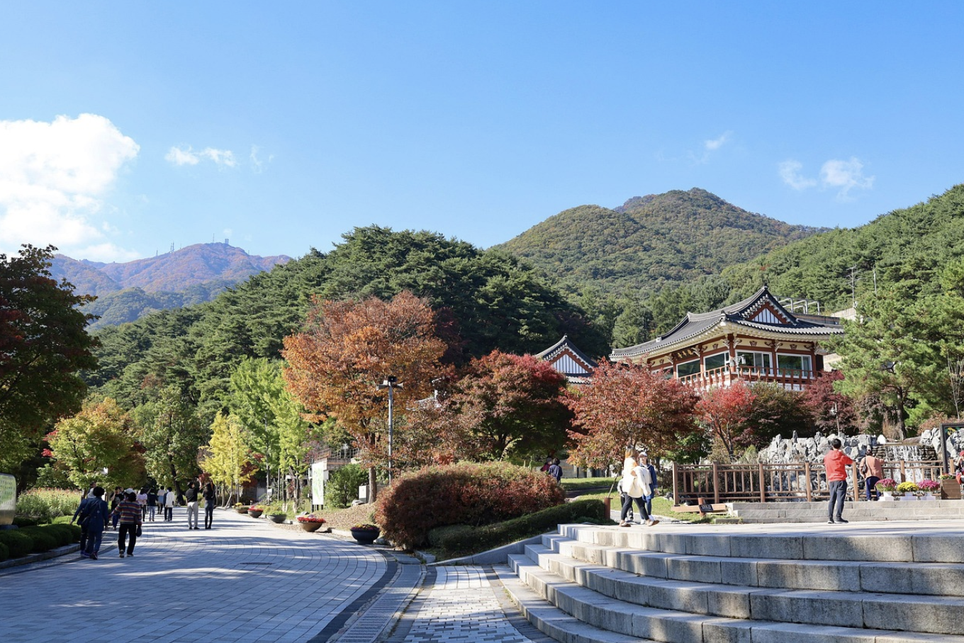 근교 국내 여행지 관련 사진