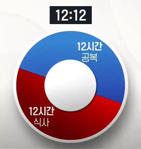 간헐적단식 시간표