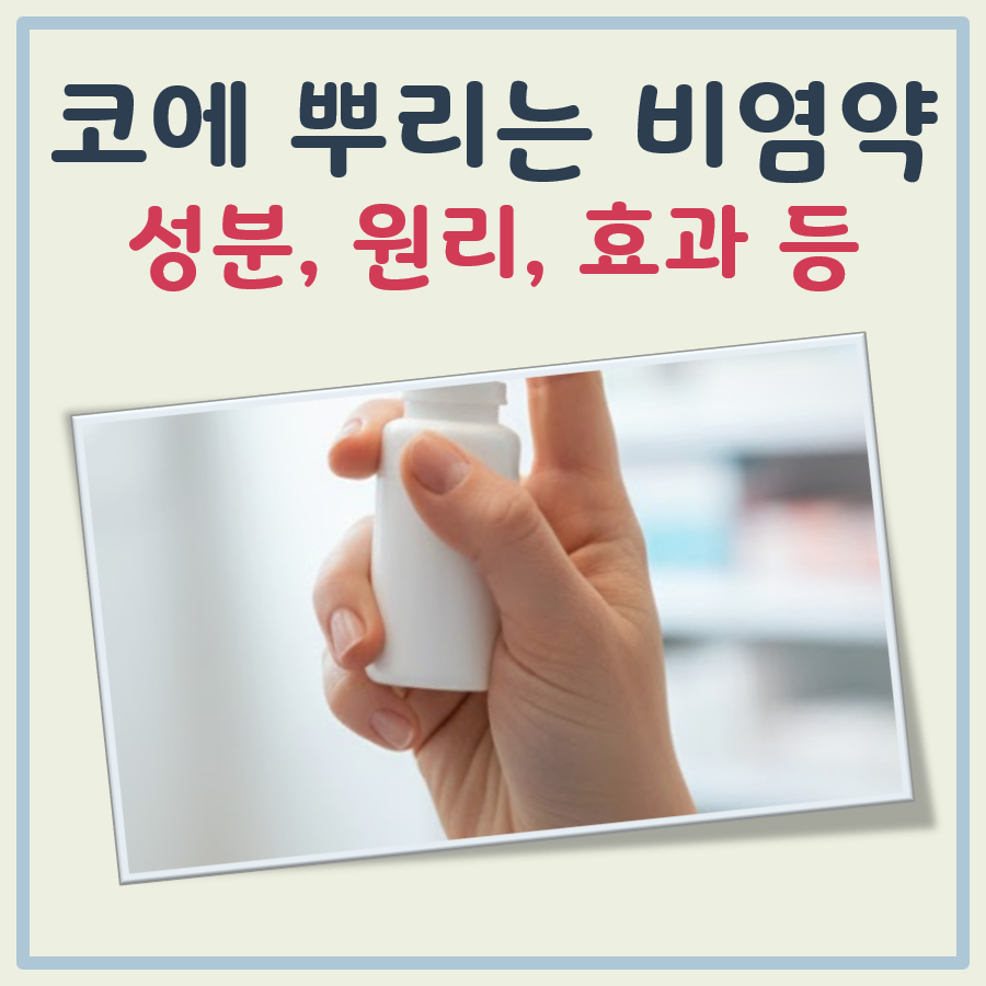 코에 뿌리는 비염약 대표 이미지
