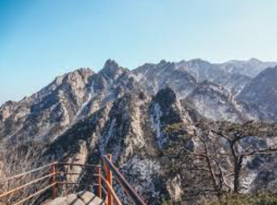 겨울 양양 여행 관련 사진