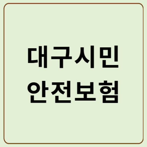 대구시민 안전보험