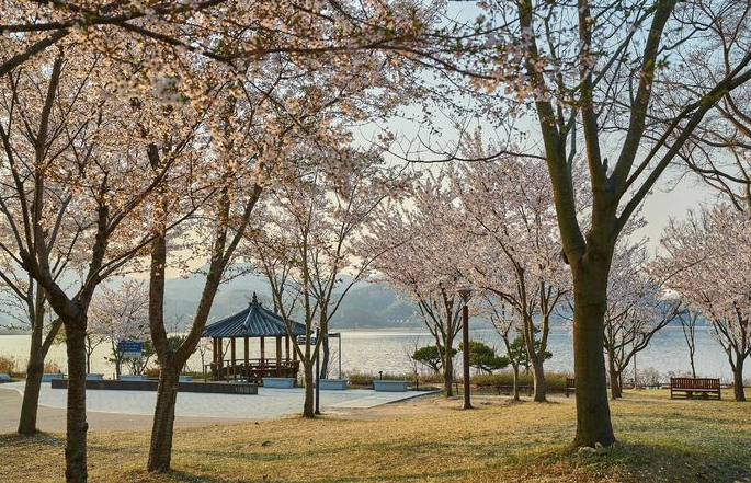 다산생태공원 이미지