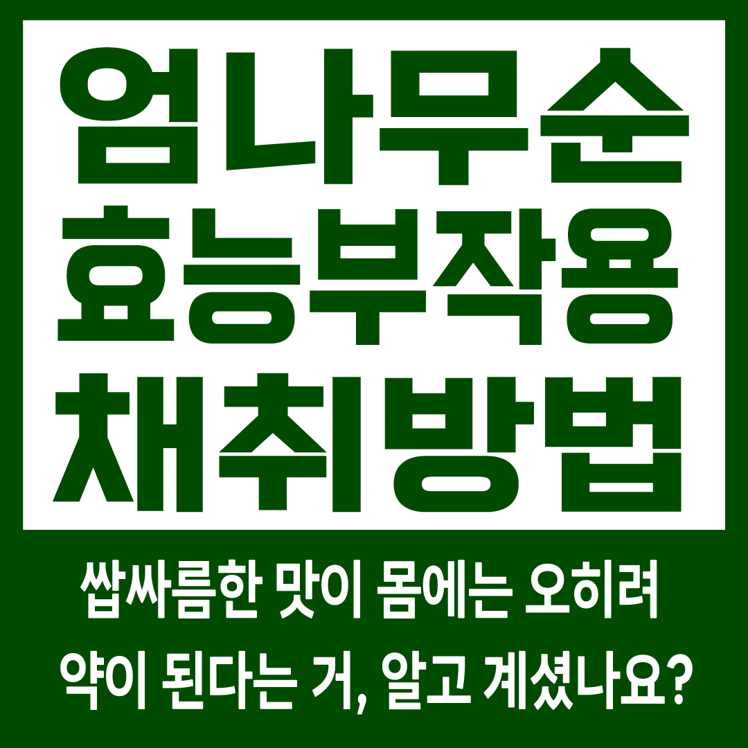 엄나무순 효능과 부작용 채취방법 두릅순과 비교-썸네일