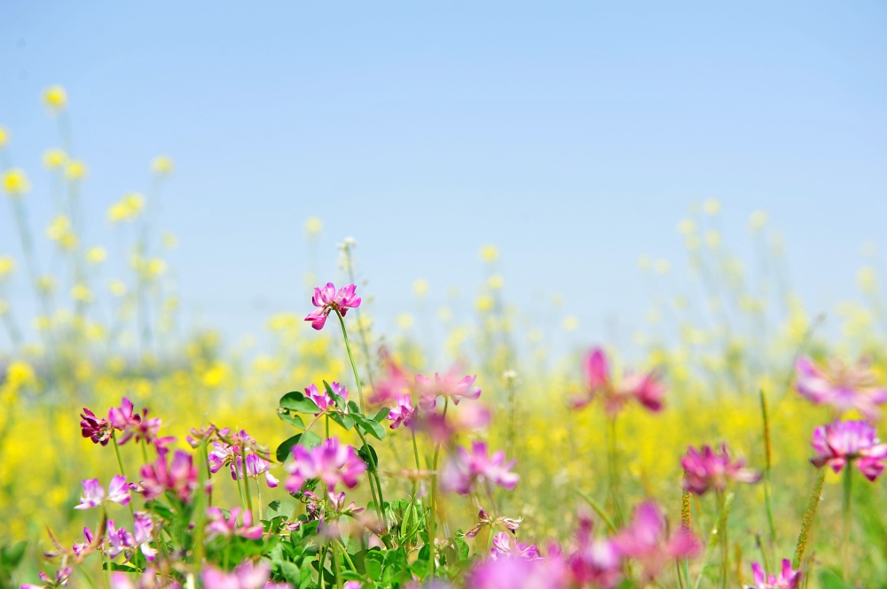 수요 예배 대표 기도문