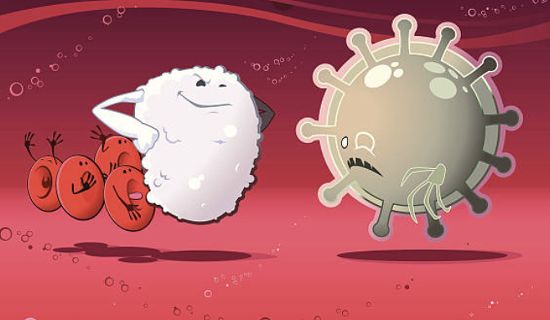 Neutrophil 수치