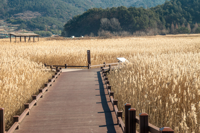 2025 대한민국 숙박 세일 페스타, 순천여행 관련 사진